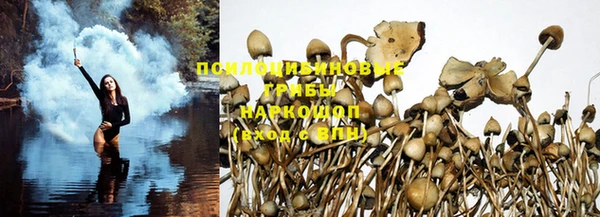 apvp Краснотурьинск