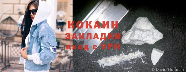 твердый Арсеньев