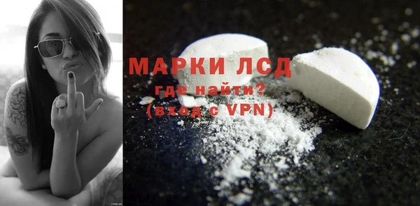 твердый Арсеньев