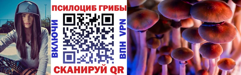 Галлюциногенные грибы Cubensis  Певек 