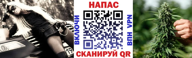 Конопля гибрид kraken ONION Певек